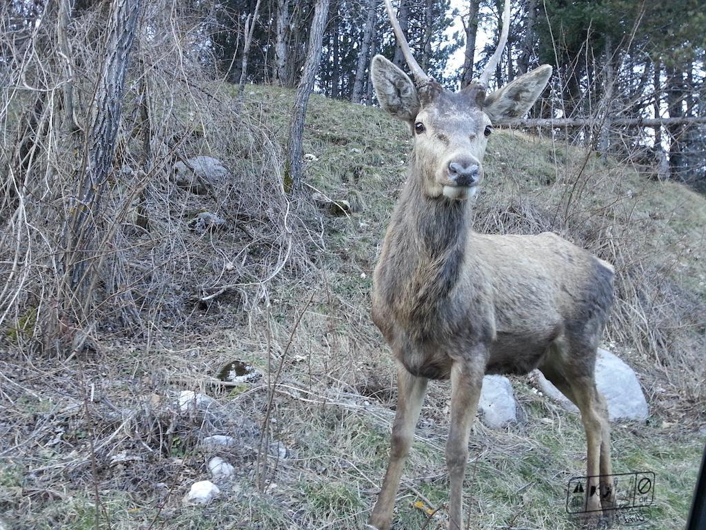 ホテル La Pieja オーピ エクステリア 写真